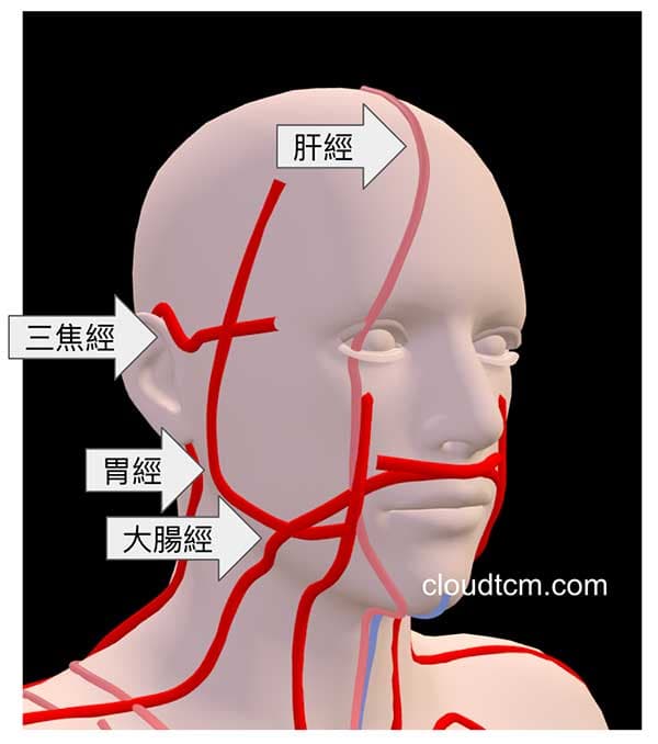 面部火熱的經絡現象