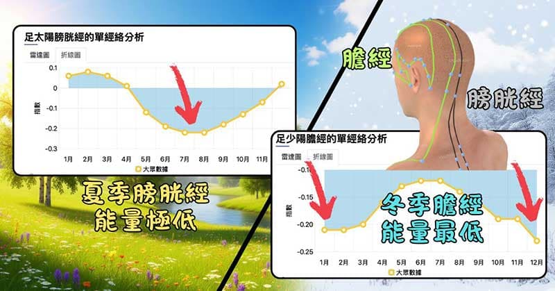 夏季膀胱經能量極低,冬季膽經能量極低