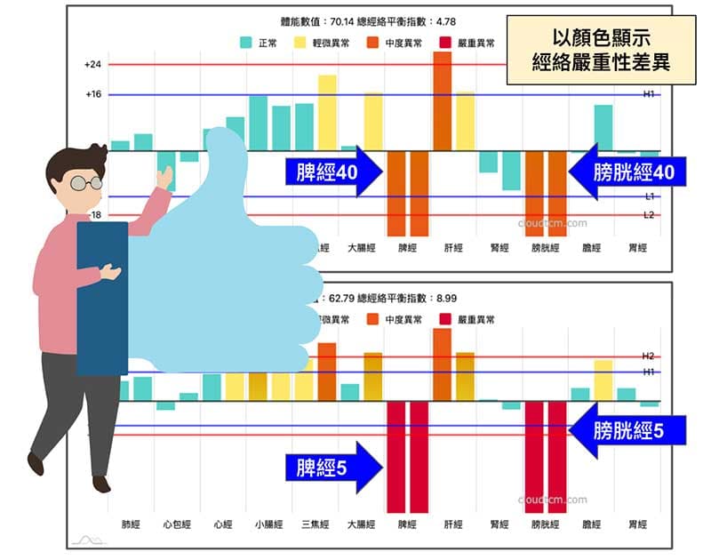 以顏色顯示經絡嚴重性差異