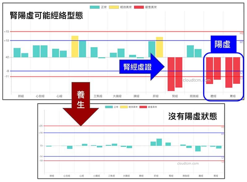 透過養生改善腎陽虛經絡型態