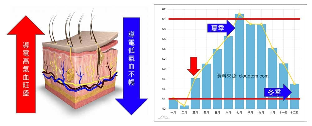 進入三月之後,體能數值迅速提升