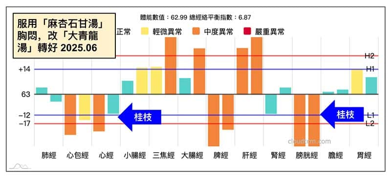 從經絡圖中,可以找到用藥修正的靈感