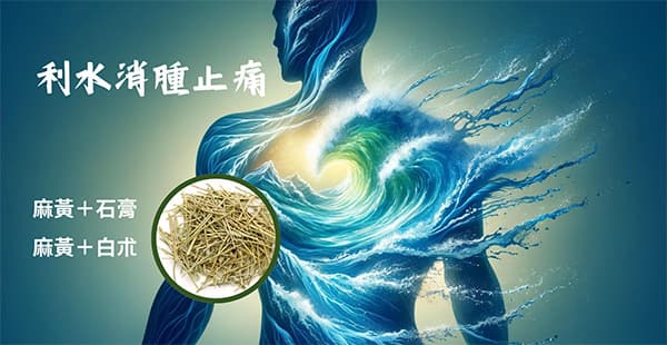 麻黃結合石膏、白朮可以利水消腫止痛