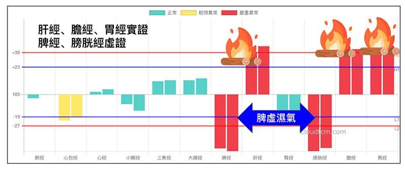 肝膽胃火,體內有脾濕現象的經絡型態