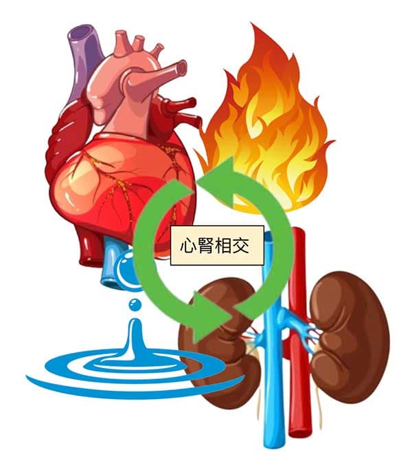 心腎相交是正常的生理循環
