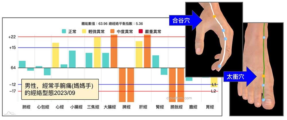 經常出現媽媽的的經絡型態,從太衝穴改善合谷穴痛
