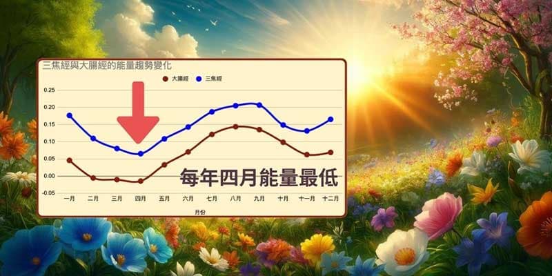 北半球人類的「三焦經」、「大腸經」在4月能量最低