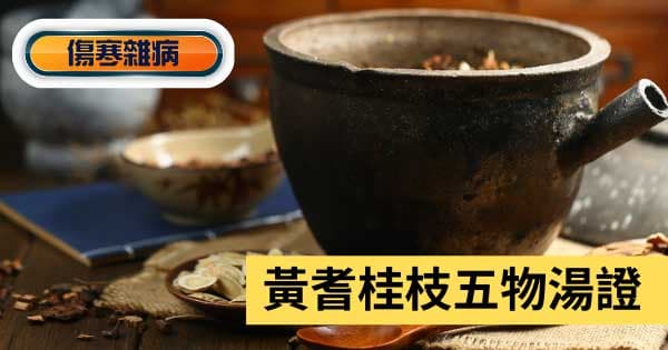 黃耆桂枝五物湯證