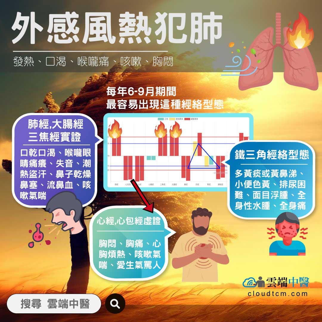外感風熱經絡圖