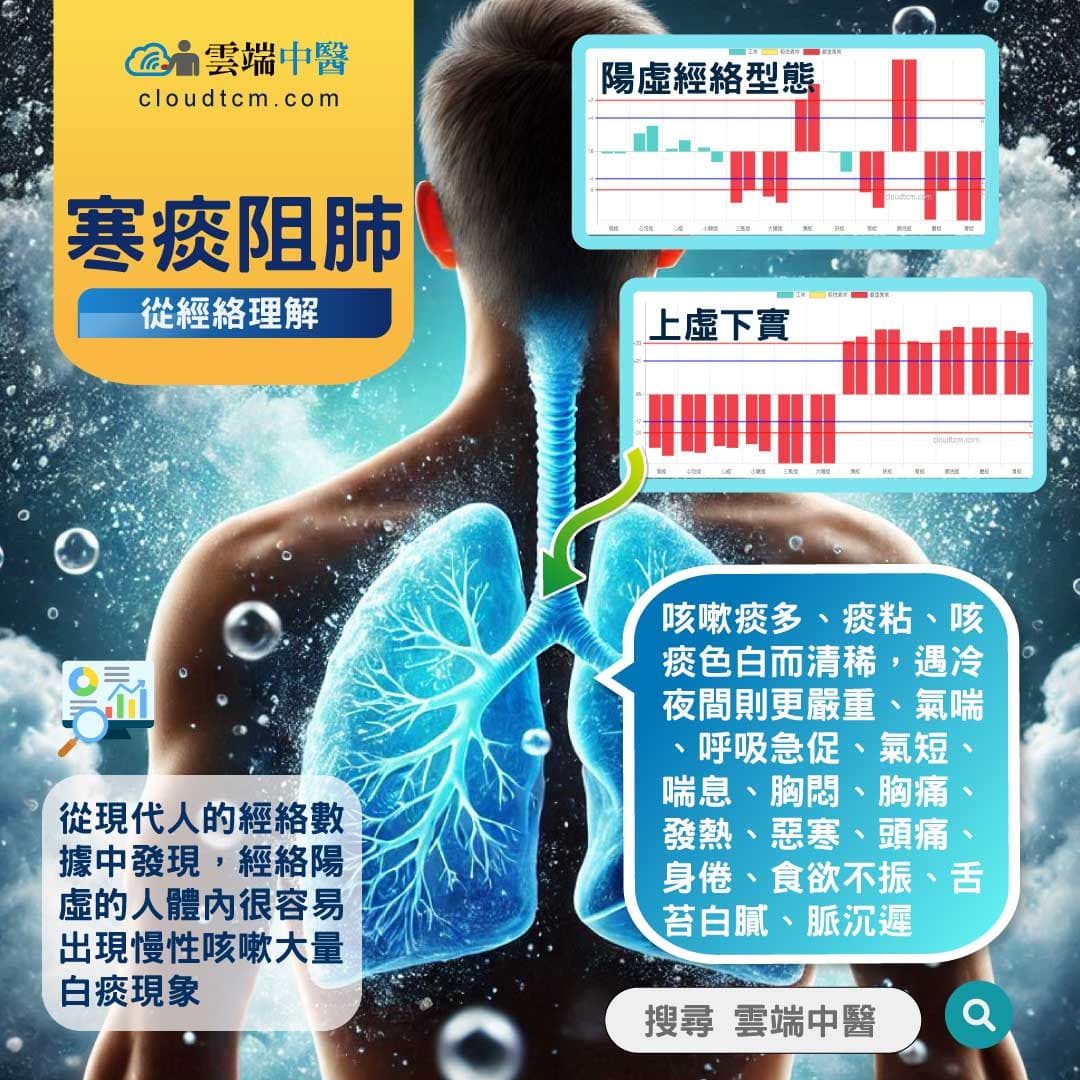 寒痰阻肺經絡圖