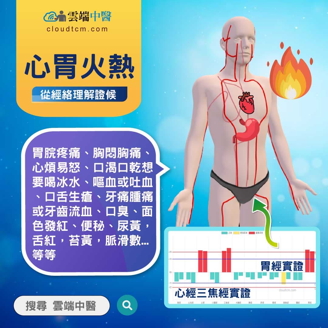 心胃火盛經絡圖