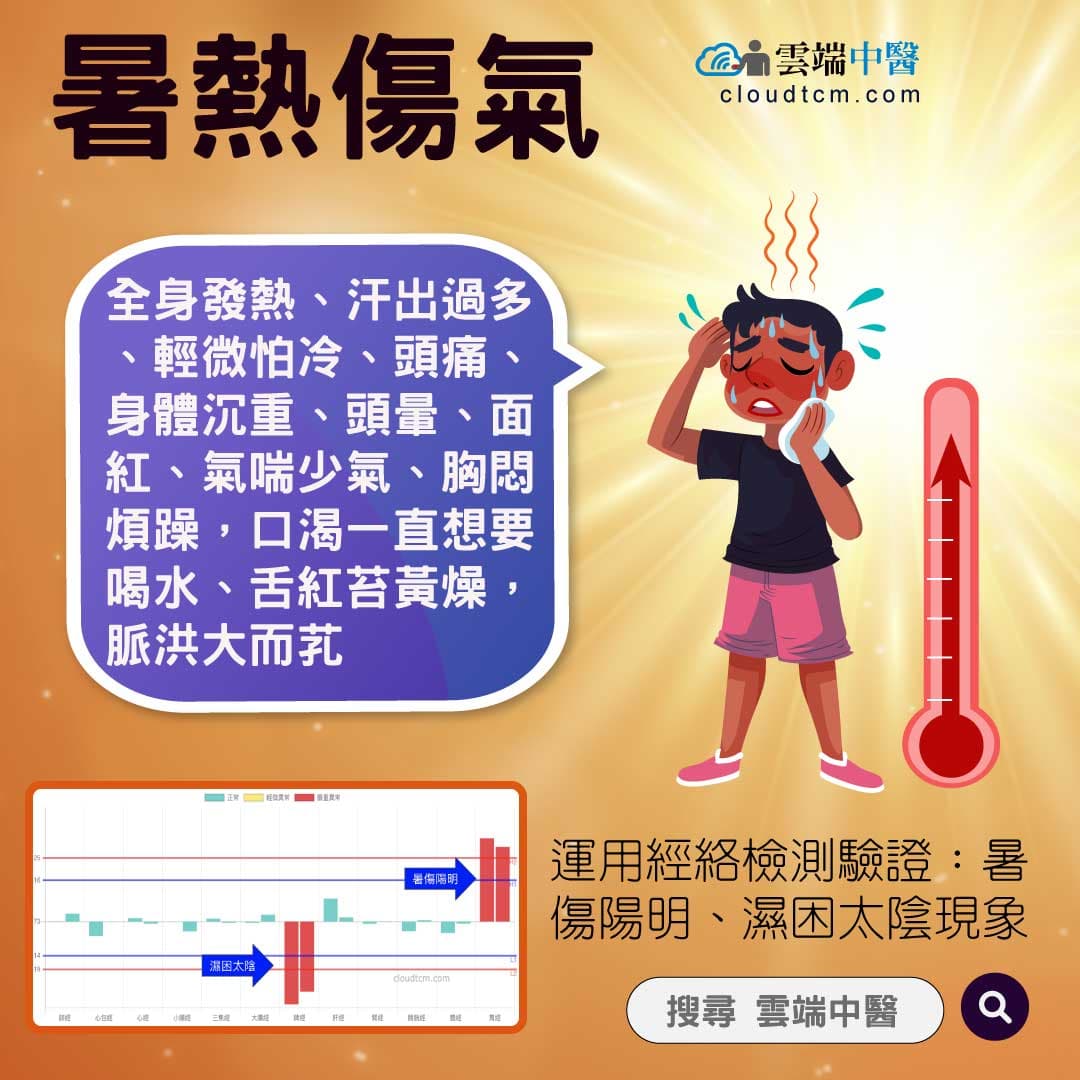 暑熱傷氣經絡圖