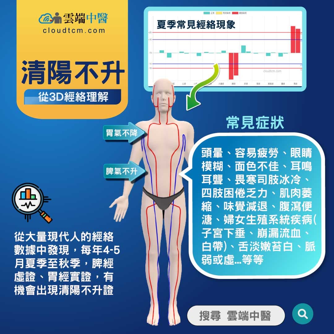 清陽不升經絡圖
