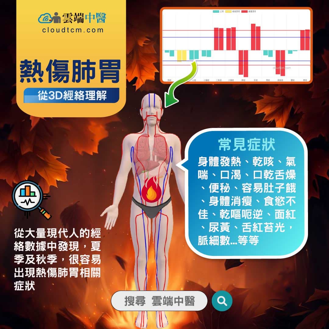 肺胃熱盛經絡圖