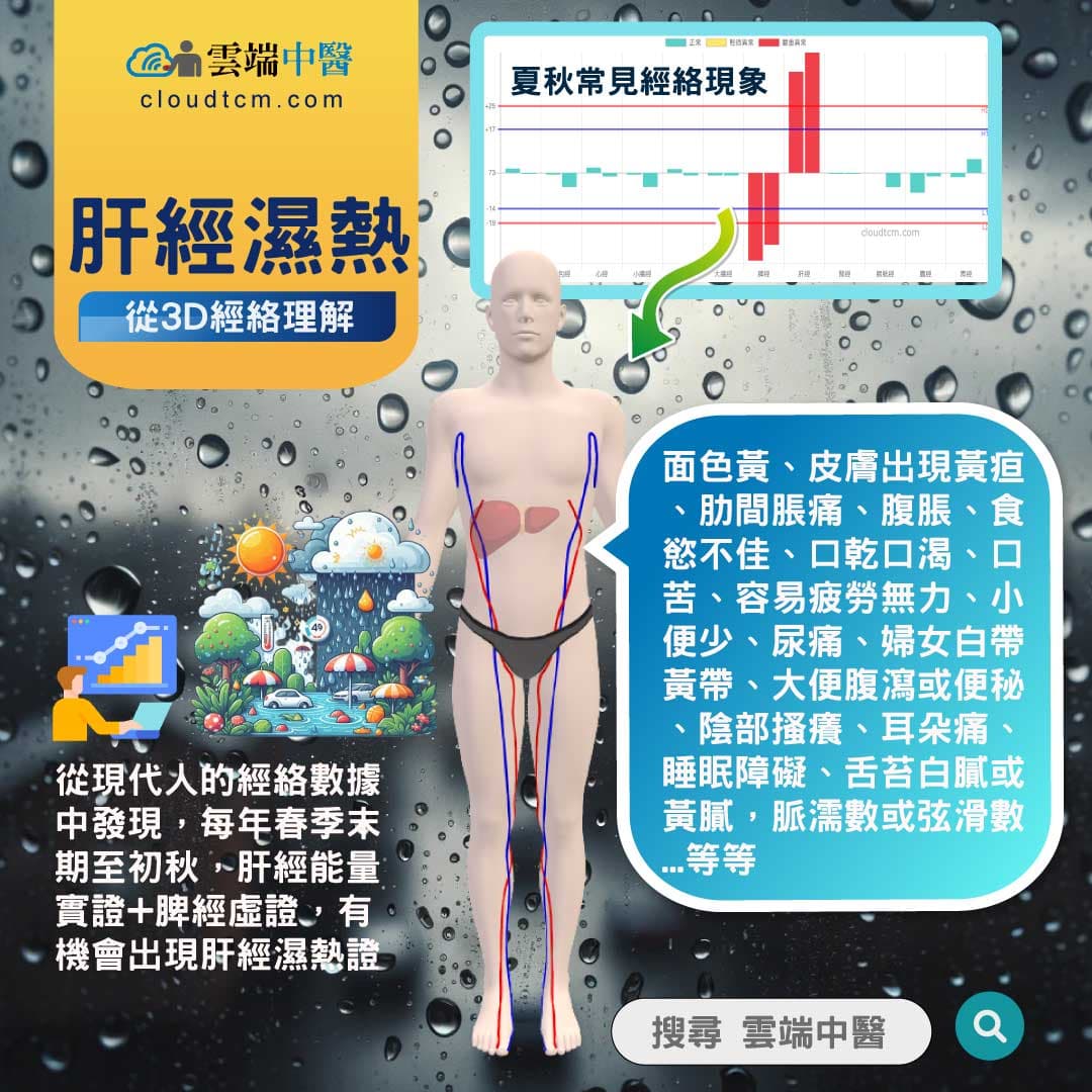 肝經濕熱經絡圖