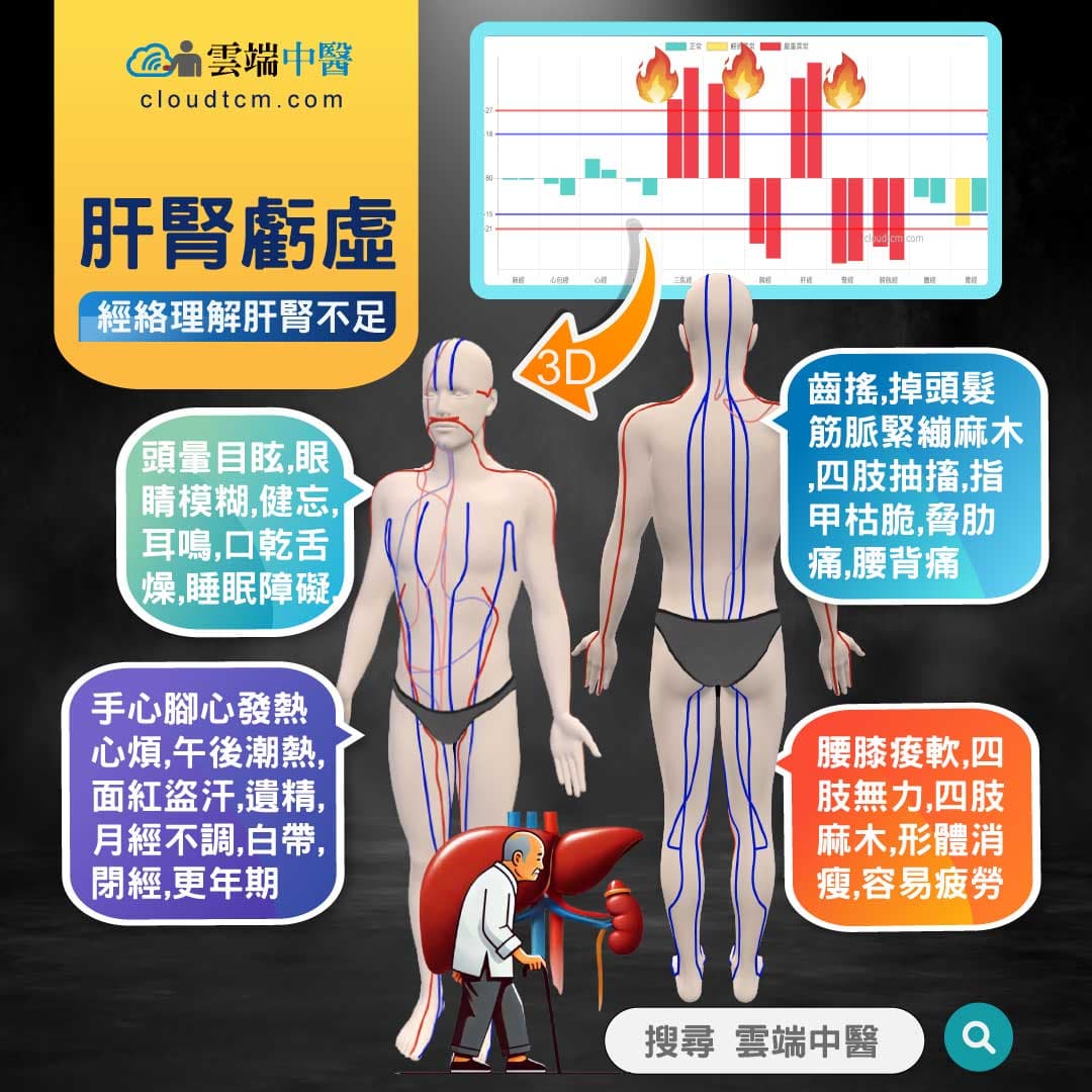 肝腎不足經絡圖