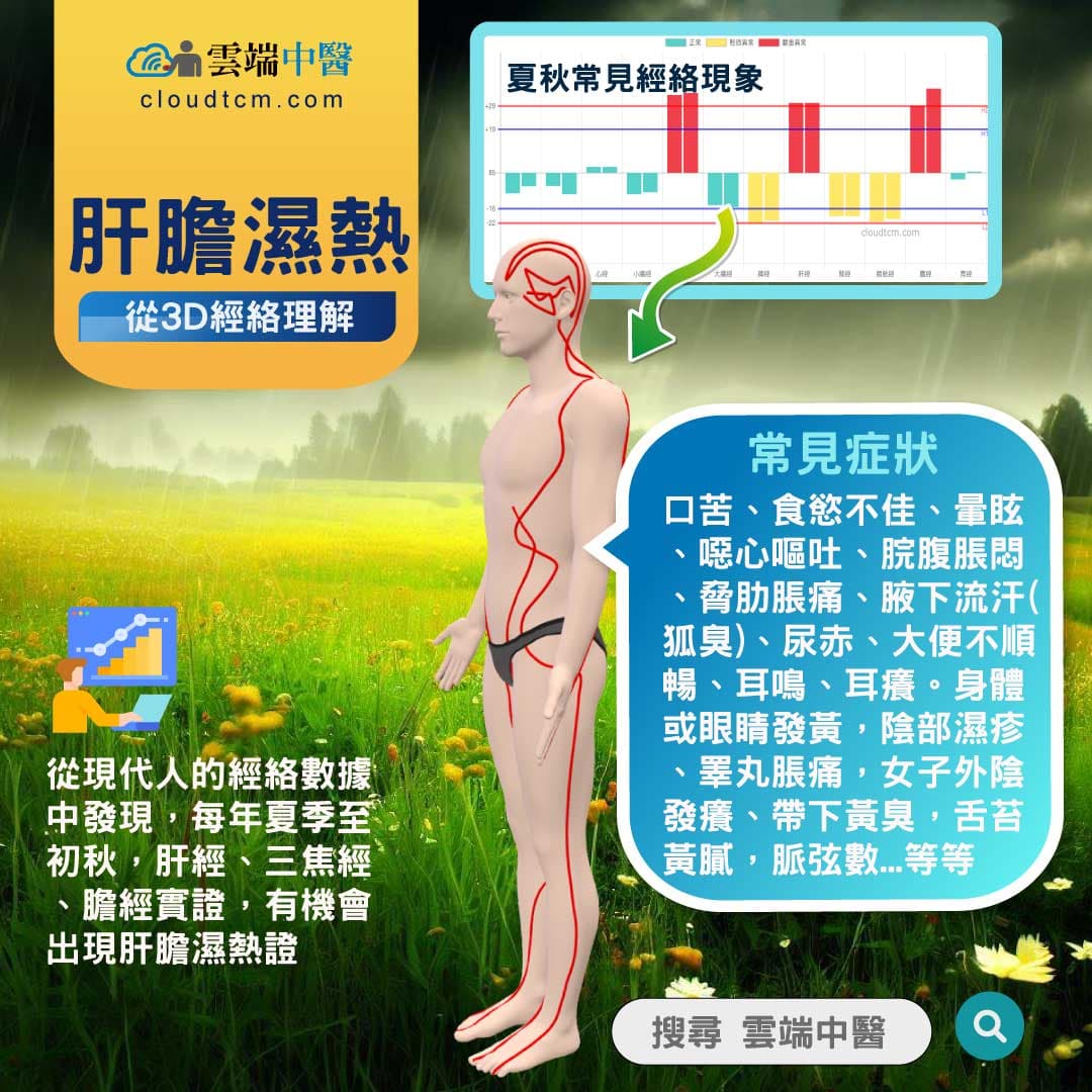 肝膽濕熱經絡圖