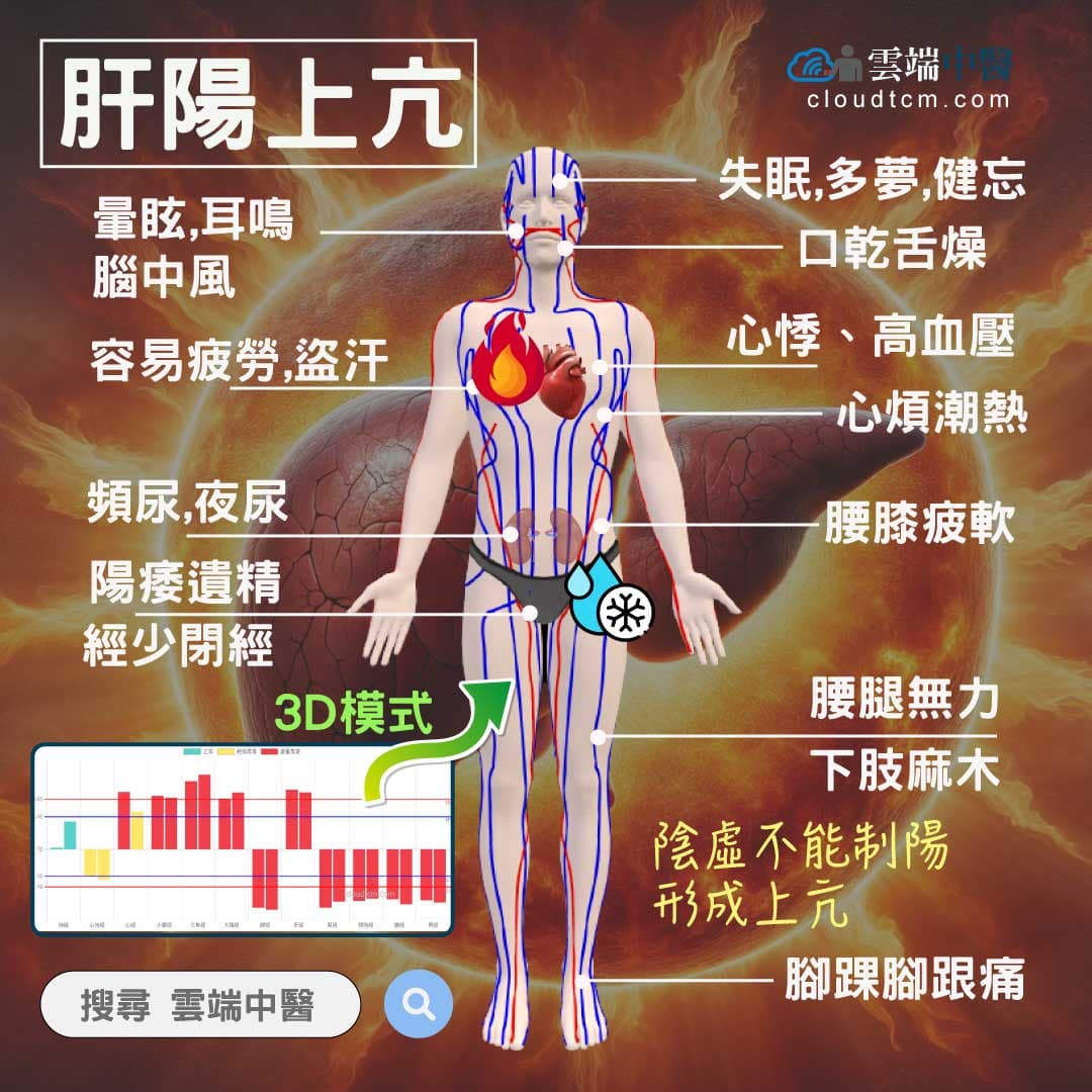 肝陽上亢經絡圖