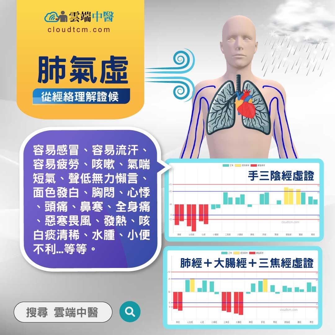肺氣虛經絡圖