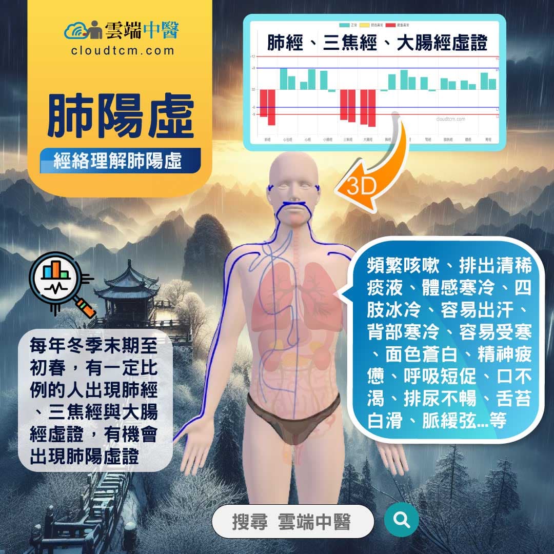 肺陽虛經絡圖