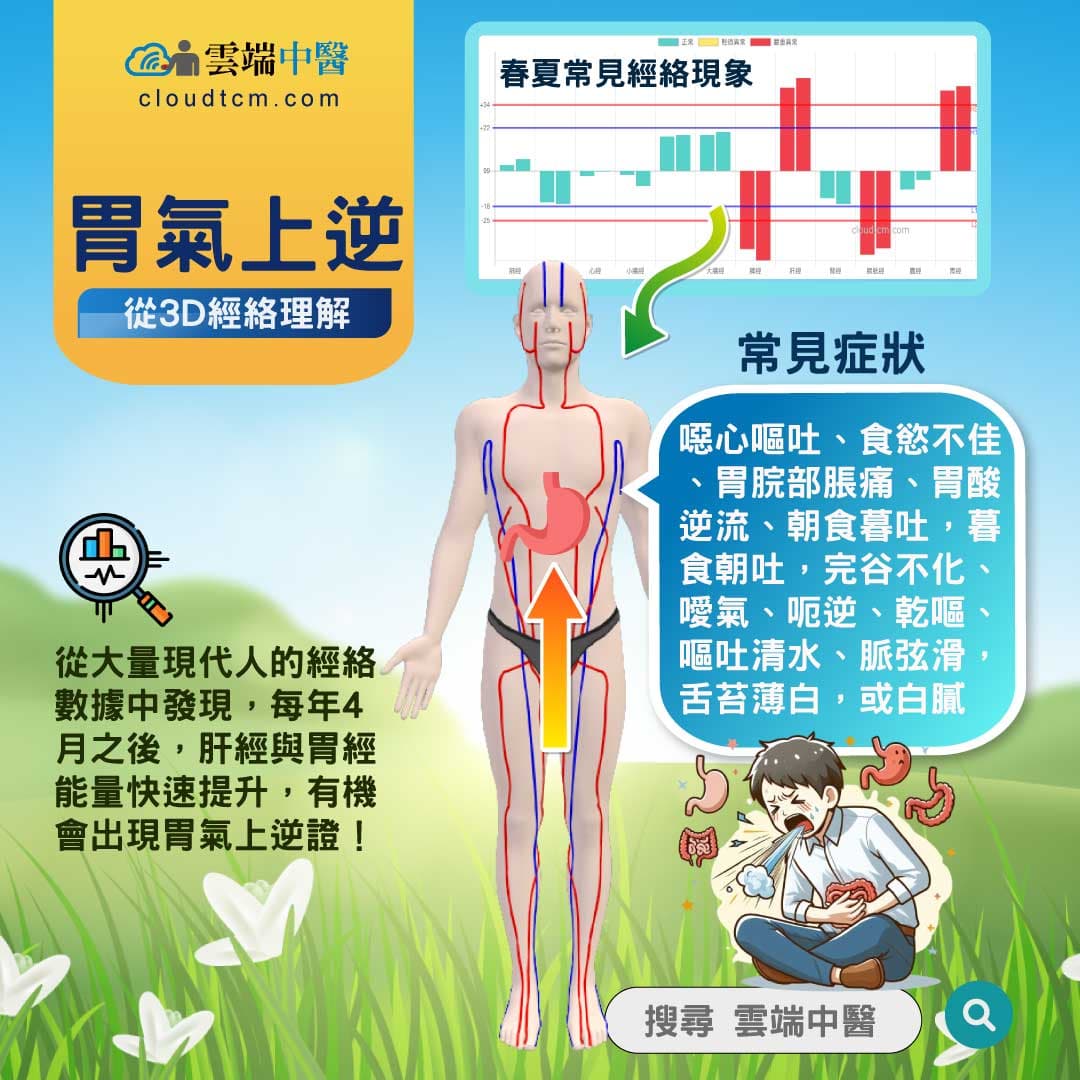 胃氣上逆經絡圖