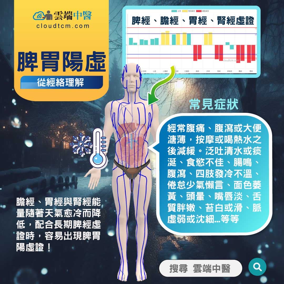 脾胃陽虛經絡圖