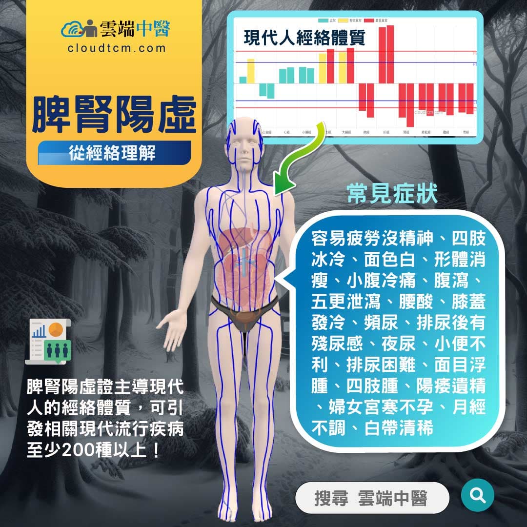 脾腎陽虛經絡圖