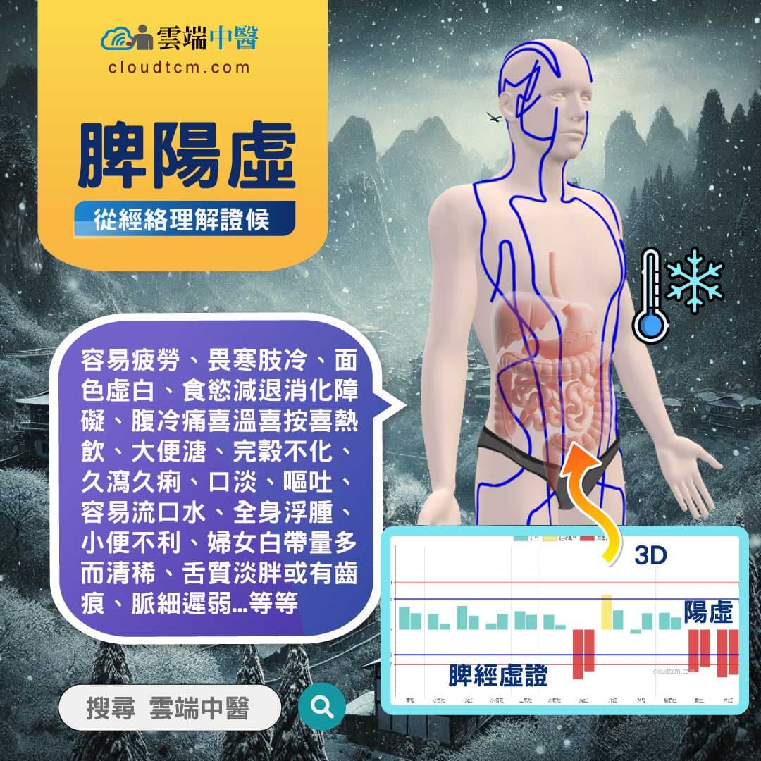 脾陽虛經絡圖