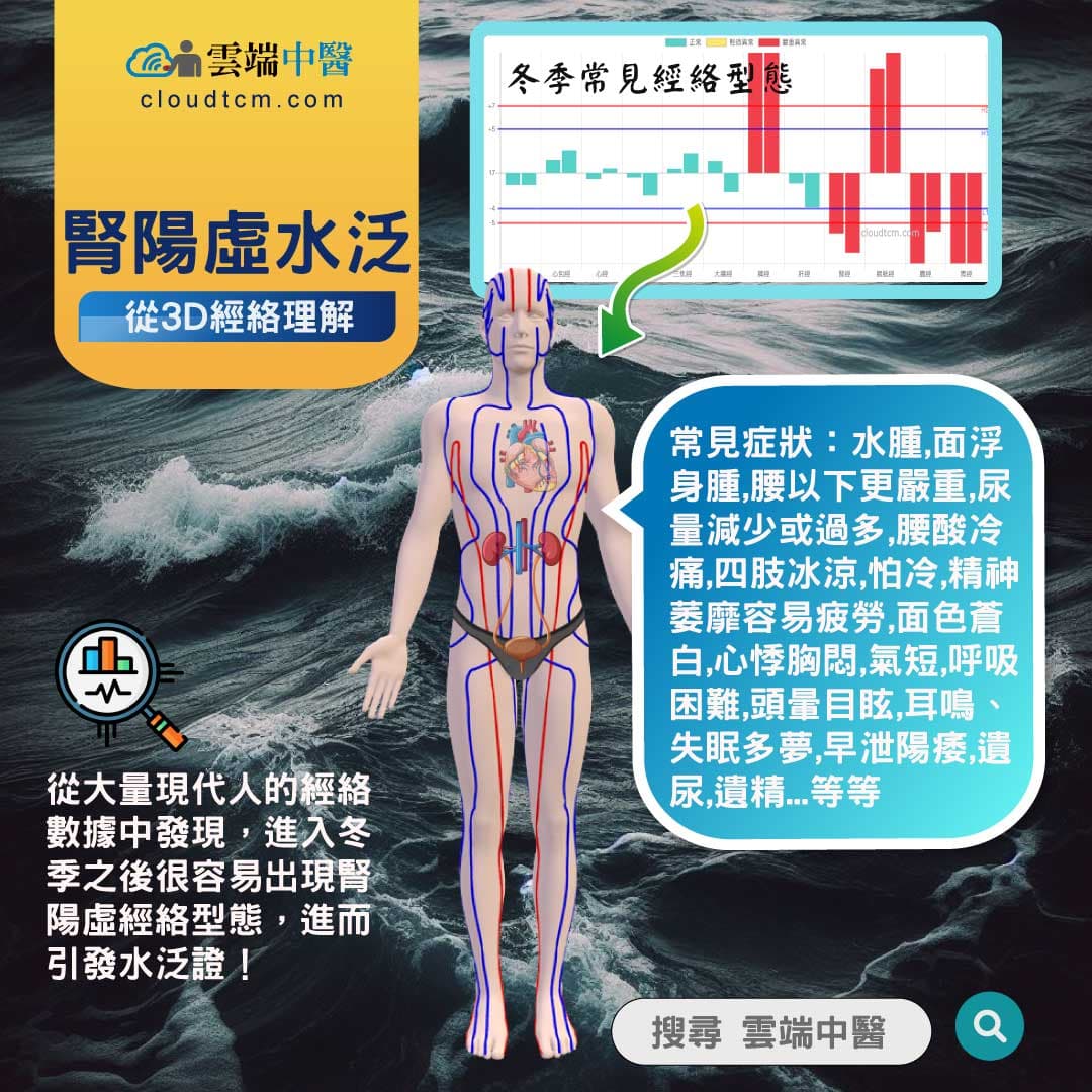 腎陽虛水泛經絡圖