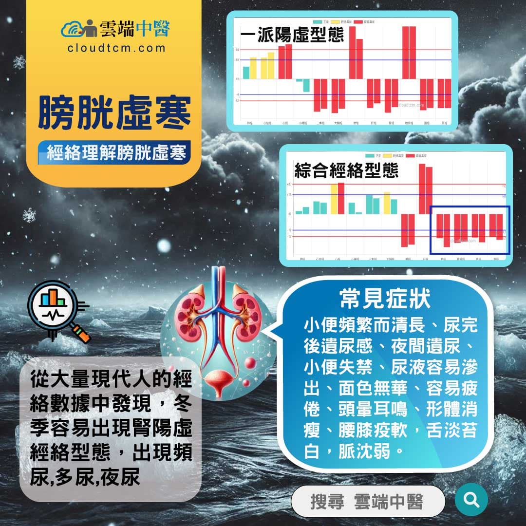 膀胱虛寒經絡圖