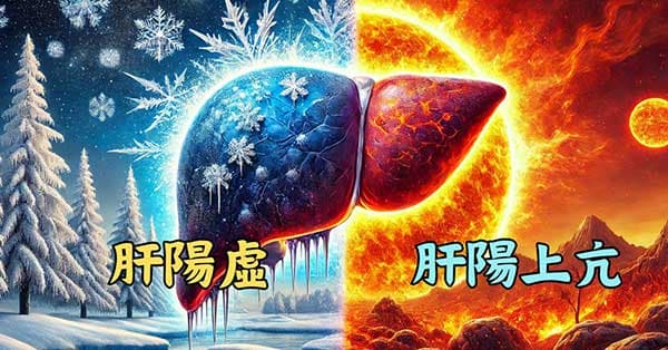 肝陽虛與肝陽上亢是完全相反的概念