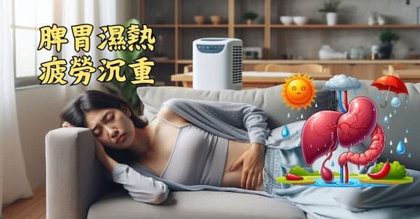 脾胃濕熱時,很容易出現疲勞沉重感