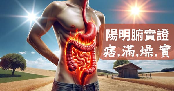 陽明腑實證是裡實熱,特點是痞、滿、燥、實